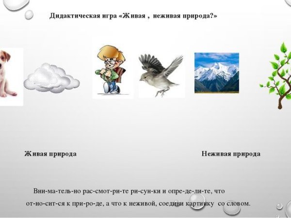 Объекты неживой природы