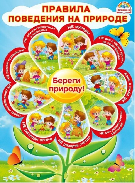 Правила поцедениямна природе