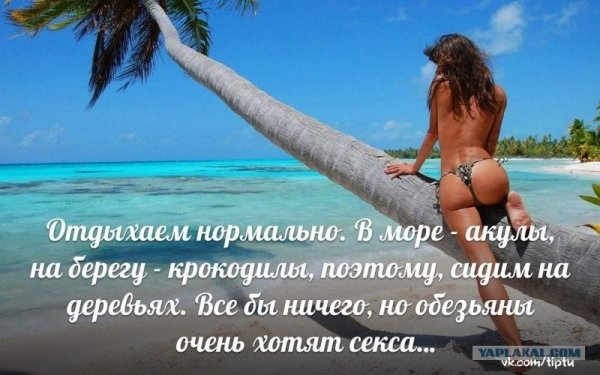 Фразы про море прикольные