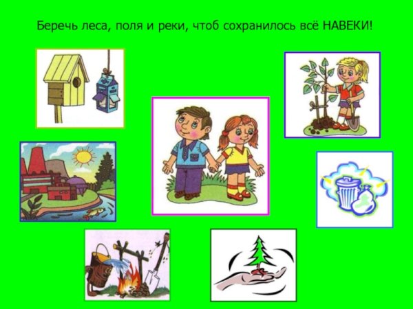 Будь природе другом