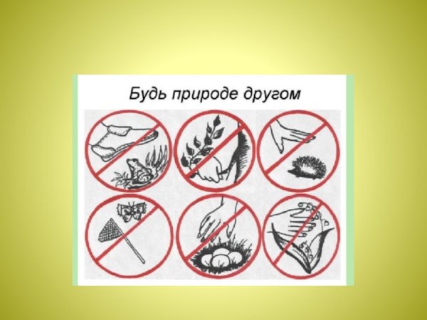 Будь природе другом