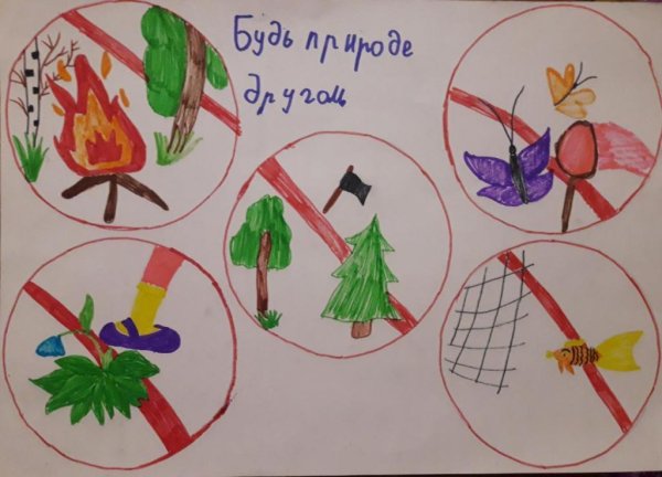 Рисунок на тему будь природе другом