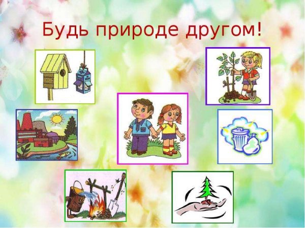 Как помочь природе