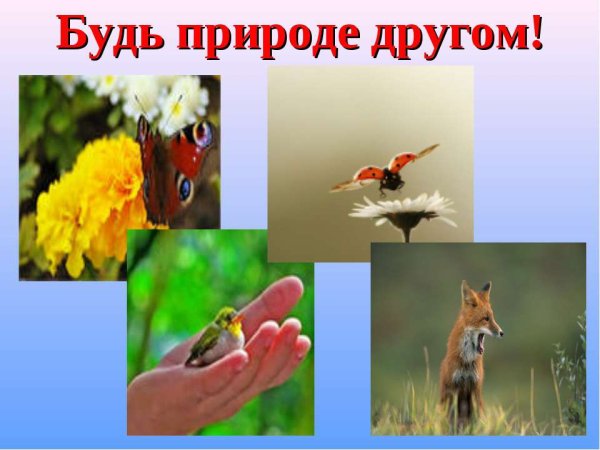 Береги природу для детей