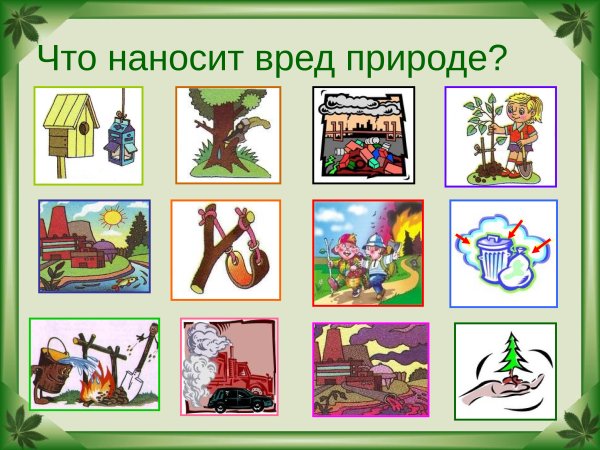 Плакат по охране природы