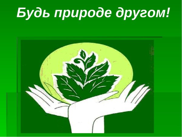 Будь природе другом