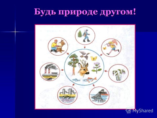 Будь природе другом
