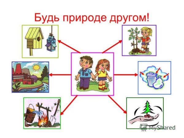Человек враг природы