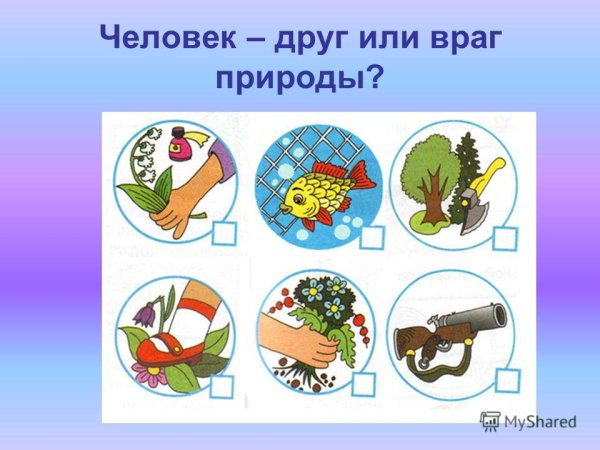 Правило охраны природы