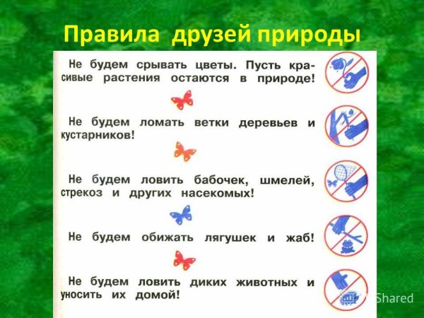 Знаки охраны природы