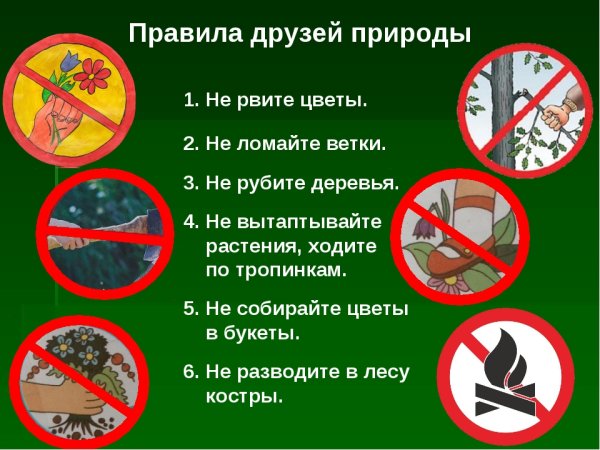 Экологические знаки для детей