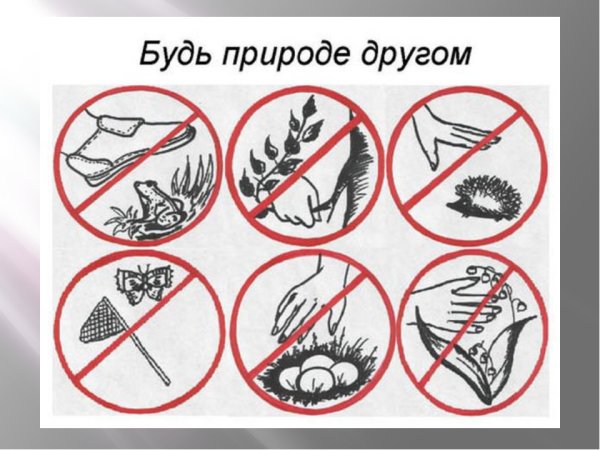 Плакат будь природе другом