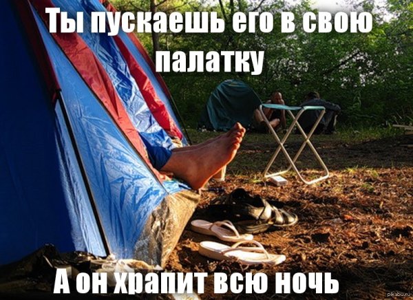 Смешные туристические палатки