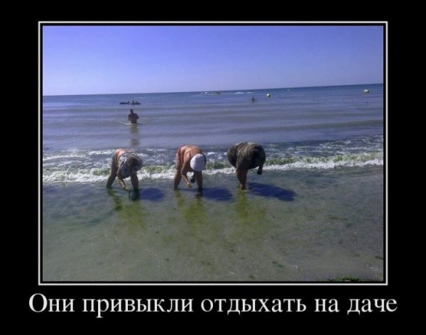 Приколы про море