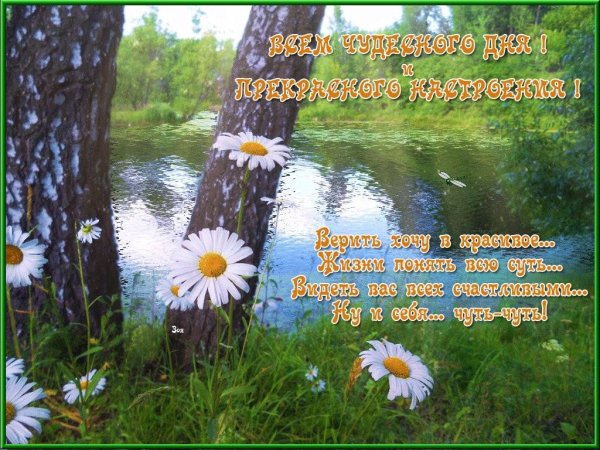 Добрые пожелания природа