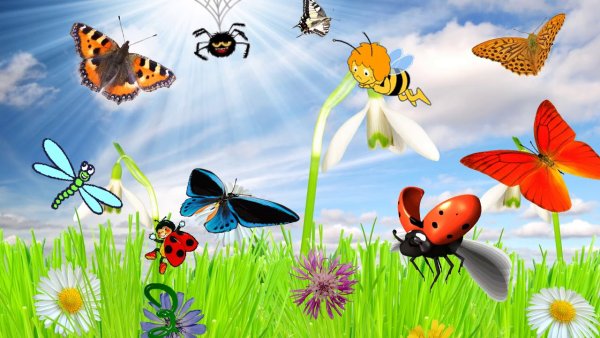 Бабочки в природе