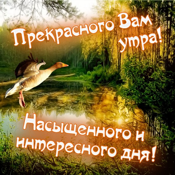 Солнечные пожелания с добрым утром и днем