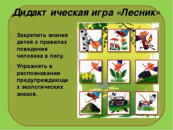 Игра для детей лесничий