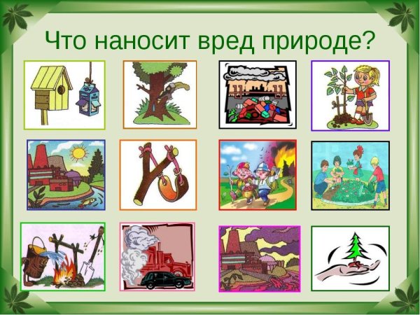 Что наносит вред природе