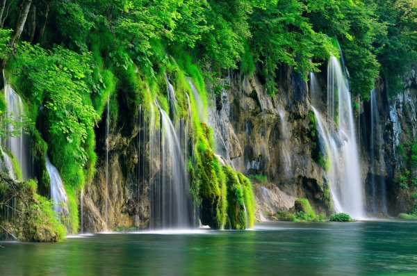 Красивая природа