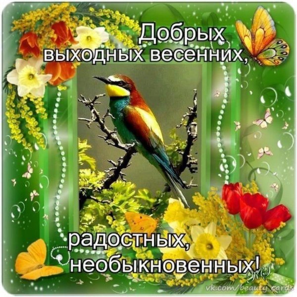 Пожелания с добрым весенним утром