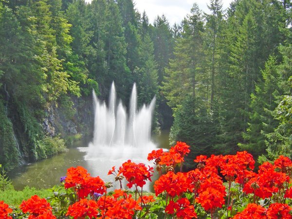 Природа водопад цветы