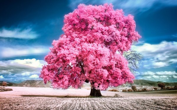 Яркая зеленая природа