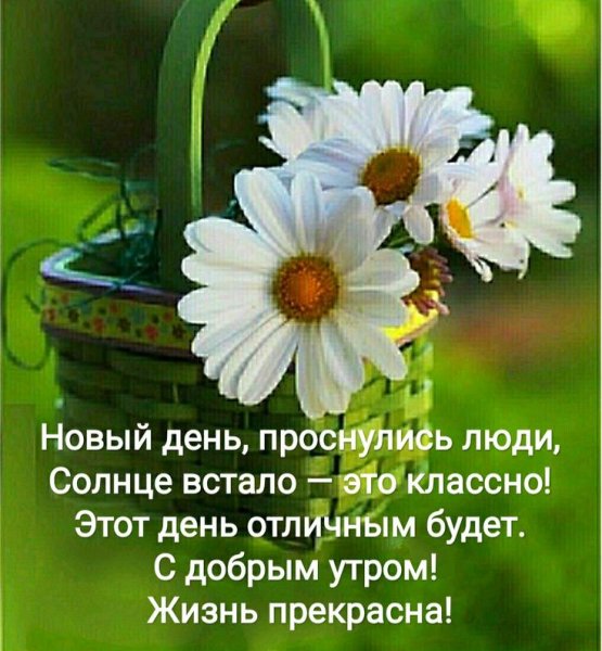 С добрым несолнечным утром