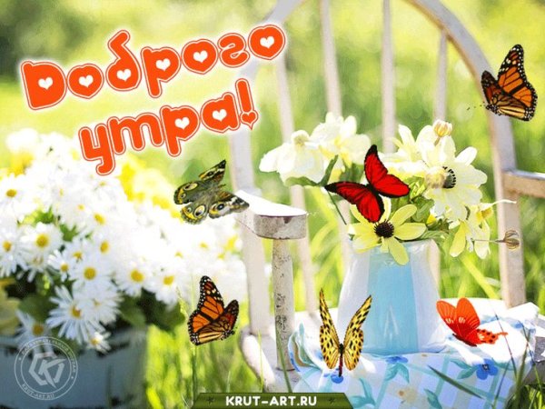 Красивые поздравления с добрым утром природа