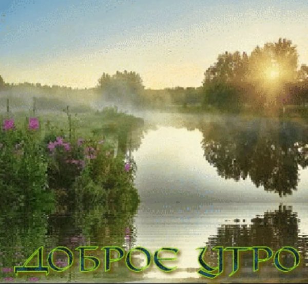 Доброе раннее утро