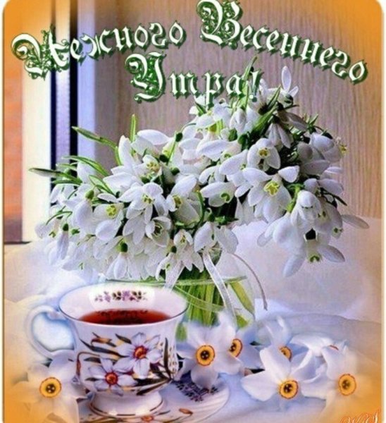 Доброе Весеннее утро и хорошего