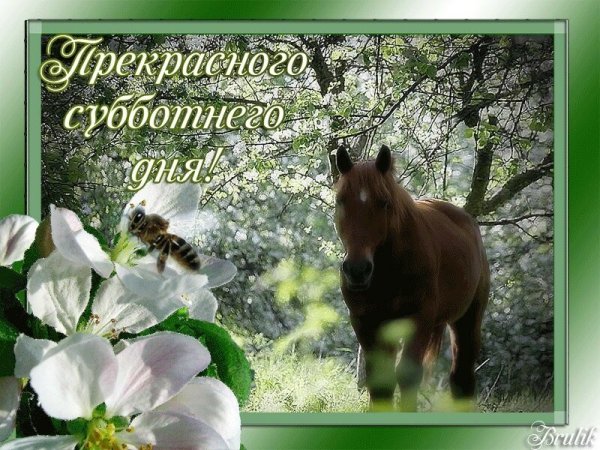 Хорошего весеннего субботнего дня и отличного