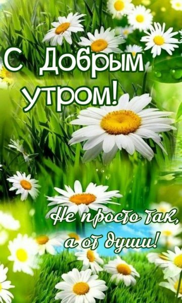Открытки с добрым утром летние с природой