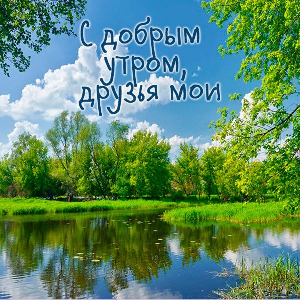 Доброе Июльское утро с природой