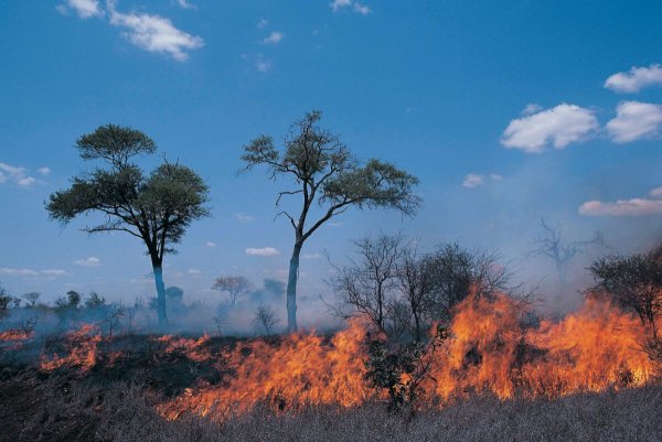 Воздействие человека на природу