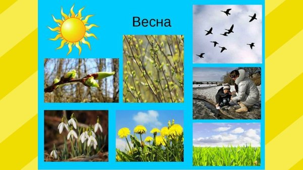Весенние изменения в природе для дошкольников
