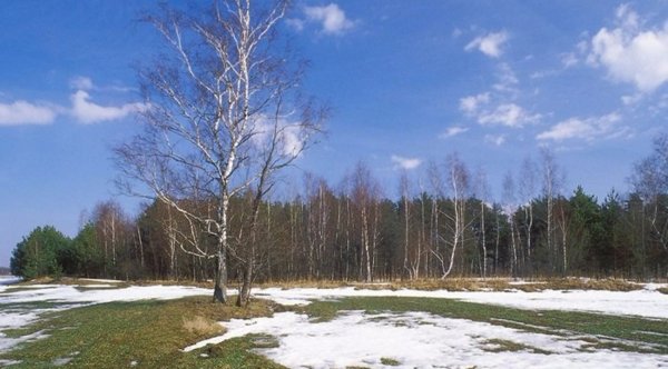 Зима Живая и неживая природа