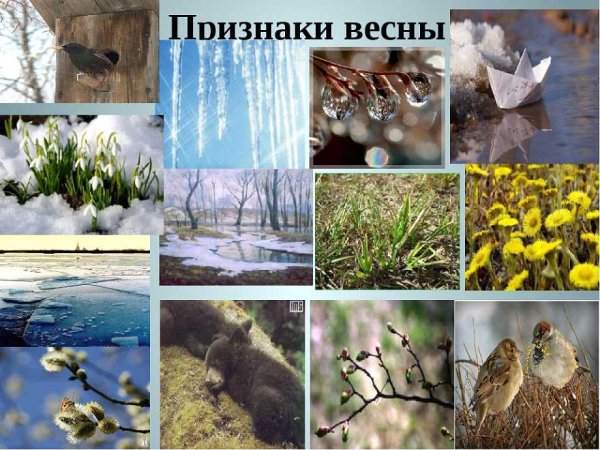 Признаки весны