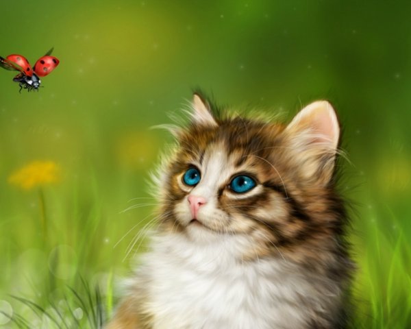 Живые обои котята
