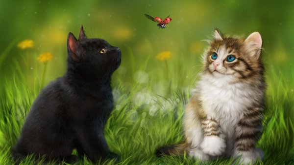 Котенок в цветах