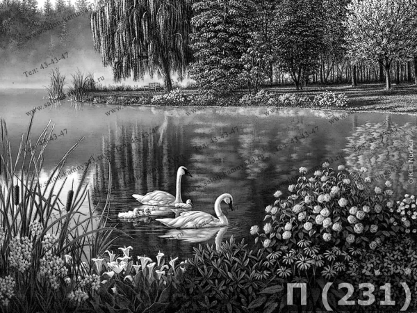 Природа для гравировки на памятниках