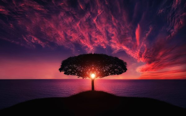 Фиолетовая природа