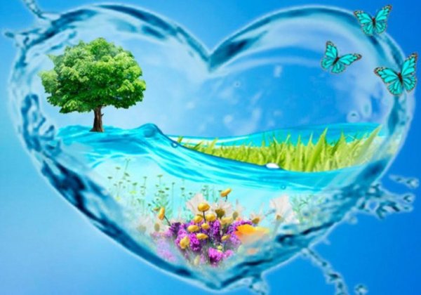 Вода источник жизни