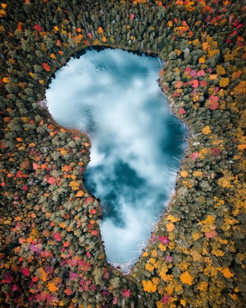 Сердце на снегу