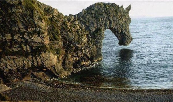 Море цветов и любви