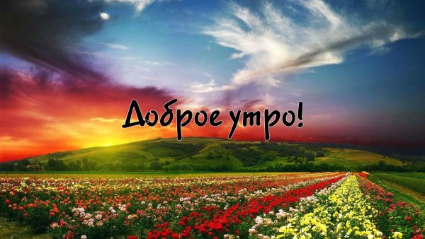 Картинки фотографии с добрым утром