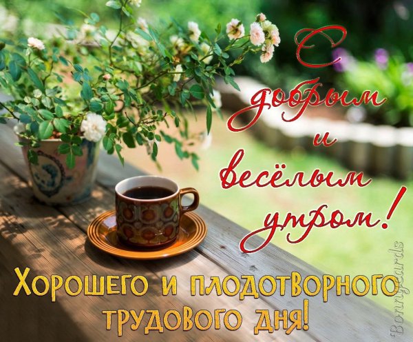 Доброе утро жизнь прекрасна