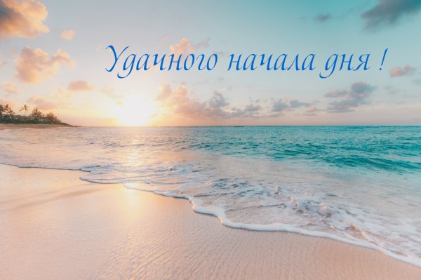 Утро море кофе цветы