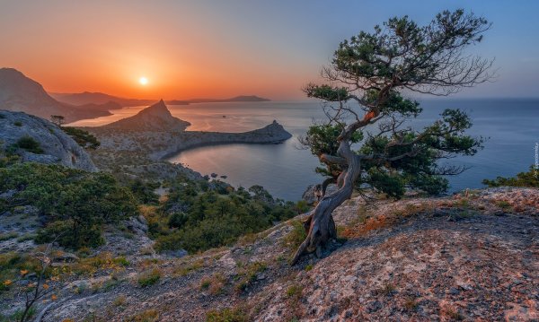 Берег Крыма горы сосны