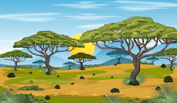 Savanna Adventure Wallpaper for Kids